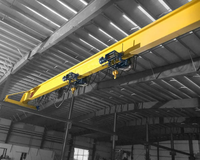 Fabricante de Grúas Puente de Doble Viga Estándar Europeo FEM EOT