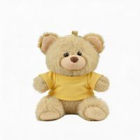 Porte-clés ours en peluche mini, jouet en peluche, ornement de sac, cadeau promotionnel, vente en gros, logo personnalisé, t-shirt, petite commande 10cm