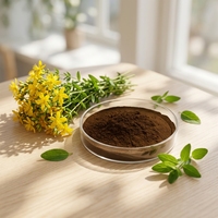 Extrait de Sève de St. John's Wort en Gros du Fabricant, 0,3% d'Hypericine, Extrait Herbal en Poudre d'Hypericum Perforatum, Qualité UV Santé, Conditionnement en Fût