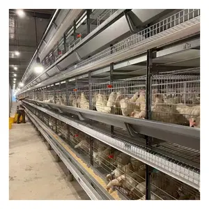 Chicken poultry cage battery egg cage chicken feeding cage
