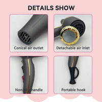 Sèche-cheveux professionnel 110V à prix d'usine, sèche-cheveux chaud de salon, étiquette privée, logo personnalisé, sèche-cheveux à vendre