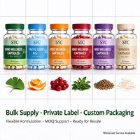 Gélules Véganes de Ginkgo Biloba (60 Capsules) pour la Mémoire et la Concentration – Complément Cérébral Personnalisable OEM