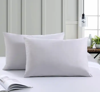 Intercontinental Hotel Grade Oreiller cervical Meilleure promotion de la marque Nouvelles tendances Motif solide Vente en gros