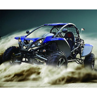 Buggy des dunes certifié CEE, puissance et performance, les tout-terrain préférés d'Europe, 4x4 Renli 1100cc, kart à essence tout-terrain pour adultes