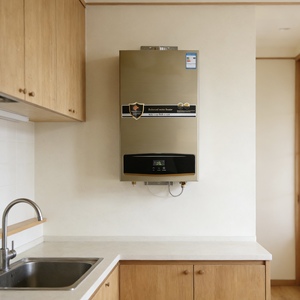 <span class=keywords><strong>Chauffe</strong></span>-<span class=keywords><strong>eau</strong></span> à <span class=keywords><strong>gaz</strong></span> sans réservoir en acier inoxydable, gain de place, 12L, design compact, faible <span class=keywords><strong>bruit</strong></span>, pour salle de bain, cuisine, extérieur et camping-car - Product Image 1