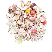 KI Haihe Accessoires de fleurs tridimensionnelles naturelles et coquillages pour la décoration de boîtes à poissons DIY faits à la main