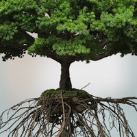 Arbre suspendu artificiel de style japonais en forme d'art avec racines visibles, écologique et résistant aux UV pour la décoration d'espaces artistiques