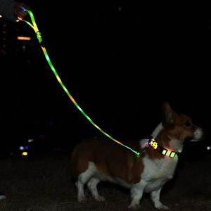 <span class=keywords><strong>Collar</strong></span> y Correa para Perro con Luz LED Recargable, Impermeable, de Nailon Sólido de Lujo, Venta al Por Mayor - Product Image 6