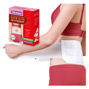 Sản Phẩm Y Tế Có Thể Điều Chỉnh Sưởi Ấm Pad Sưởi Ấm Gói Cho Eo Vành Đai Ấm Hơn Với Nóng Lạnh Gói Trở Lại Pain Relief - Product Image 1
