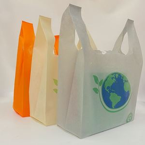 Hot Sale <b>Cheap</b> Reusable Customized Printed Tnt Non Woven <b>Bag</b> for Shopping - Product Image 2