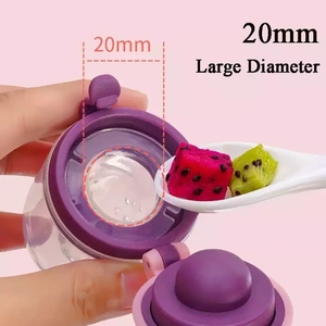 Sucettes pour bébé, nourrisseur pour bébé, tétine pour aliments frais, suceur pour fruits pour enfants, tétine de sécurité pour nourrissons, tétine pour bébé - Product Image 2