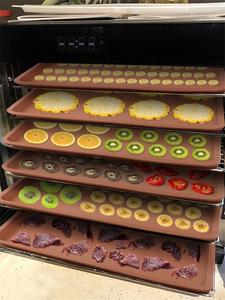 Hojas deshidratadoras de <span class=keywords><strong>silicona</strong></span> de grado alimenticio compatibles con <span class=keywords><strong>Cosori</strong></span>, alfombrillas deshidratadoras de <span class=keywords><strong>silicona</strong></span>, bandejas deshidratadoras, revestimiento - Product Image 4