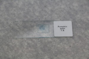 La migliore vendita diapositive 25pcs di vetro microscopio vetrini per educativi kit di formazione - Product Image 5