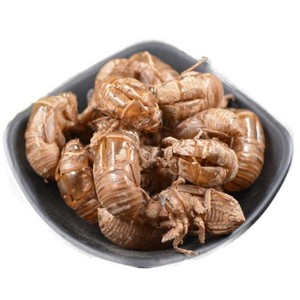 ผงซิเคด้าสกัดจากจั๊กจั่นเข้มข้นละลายน้ำได้ - Product Image 2