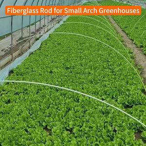 מוט פיברגלס מוצק עבור קשת חקלאית קטנה לשפוך תרזינג - Product Image 5