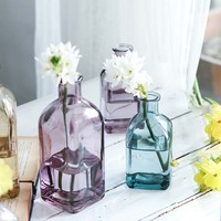 Récipient d'arrangement de fleurs hydroponiques transparent, décoration de vase en verre de petit calibre dans le salon