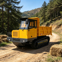 Camions de transport en acier titane, 8000 kg, 1, 2, 3, 4, 5 tonnes, pour l'exploitation minière, l'agriculture et les fermes, Inde, Corée, Shandong, Chine, à prix compétitif, en vente