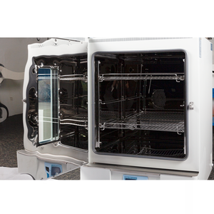 50L 100L 175L 220L multisegment chương trình chính xác Blast sấy Oven cho phòng thí nghiệm ngành công nghiệp - Product Image 5
