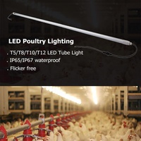 Étanche IP65 Dimmable sans scintillement T8 LED Volaille Poulet Farm Light pour Volaille de chair