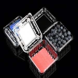 Tampons absorbants pour volailles (fruits de la mer) de qualité supérieure, 76*76mm, fraise/myrtille, vente en gros pour supermarchés - Product Image 6