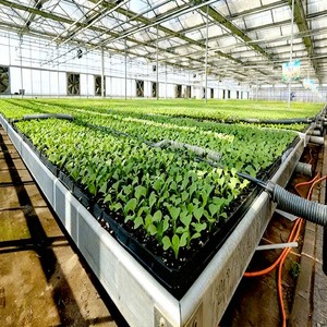 Long-Life PC Sheet + Corrosion-Resistant Build Ensures High-Yield Organic Agriculture with Minimal Replacement & Repair Costs - Product Image 4