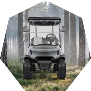 Carrito de golf eléctrico de 2 + 2 asientos de calidad de alto rendimiento con batería de litio y velocidad de 30-50 km/h - Product Image 4