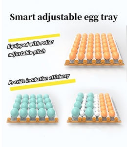 Nở tự động đa chức năng nhỏ của nhiều loại Máy Ấp Trứng - Product Image 4