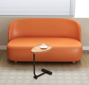 Sofá Pequeño Minimalista para Sala de Estar Pequeña, Apartamento Pequeño, Casa de Alquiler Extremadamente Estrecha, Sofá Recto para Dos Personas - Product Image 5