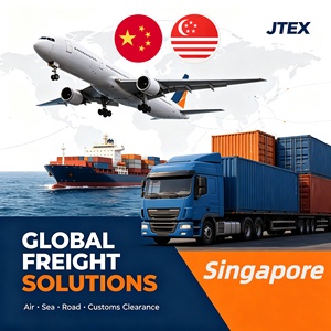 Service de fret maritime DDP LCL fiable de la Chine à Singapour via un agent de transport maritime et une logistique mondiale - Product Image 1