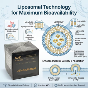 Cápsulas de Complejo Nutricional CoQ10 NAD+ ODM, Apoyan el Equilibrio Diario del Cuerpo, Mejoran la Producción de Energía, Salud de la Piel y el Cuerpo - Product Image 4