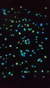 Tuin Lichtgevende Stenen Buitenaquarium Natuurlijke Gloed <span class=keywords><strong>In</strong></span> De Donkere Steen - Product Image 4