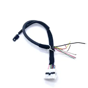 Soulin Customized Electrical Switching Leads Wire Harness Cable Assembly To Connector Cable