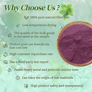 OEM ODM produttore fornitura di gelso in polvere puro naturale 30:1 estratto di frutta di gelso succo in polvere - Product Image 2