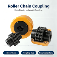 Couplage flexible à chaîne à rouleaux en acier SFS, non standard, garantie 1 an, personnalisation OEM, achat en gros disponible