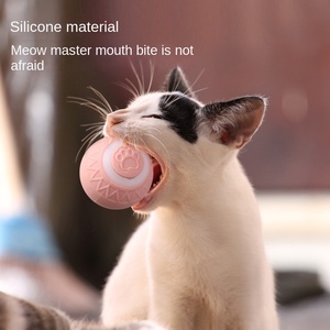 Nuovo Giocattolo Ecologico in Silicone per Addestramento Cani e Gatti, Palla Elettrica Automatica Interattiva Intelligente - Product Image 1