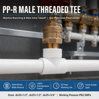 Raccords en laiton filetés PPR mâle-femelle en T pour plomberie, OEM ODM, raccords de tuyauterie d'eau PPR