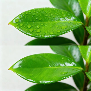 สารเสริมซิลิโคนเหลว 1 ลิตร, สารช่วยทำให้เปียก, ซิลิโคนทริไซลอกเซนที่ปรับเปลี่ยนแล้ว สารลดแรงตึงผิวอินทรีย์สำหรับเพิ่มประสิทธิภาพสารเคมีทางการเกษตร - Product Image 3