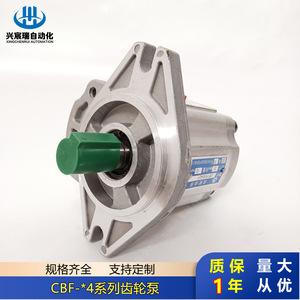 Pompe à engrenages CBF série F4 en alliage d'aluminium 20MPa pour distribution d'huile hydraulique, installation par bride, arbre vertical, entraînement électrique - Product Image 5