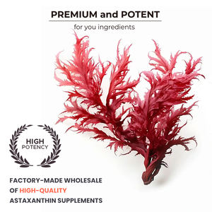 Cápsulas de Astaxantina OEM 120 Softgels, Suplementos de Astaxantina de Alta Qualidade Fabricados em Fábrica - Product Image 5