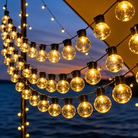 Guirnaldas de Luces LED en Caja de Color, con Luces para Patio y Exteriores, para Suministros de Exhibición en Tiendas