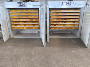 <span class=keywords><strong>Vente</strong></span> flash : Incubateur d'œufs 2122, grande unité industrielle automatique pour l'éclosion <span class=keywords><strong>de</strong></span> poulets, canards, oies, cailles, autruches - Product Image 5