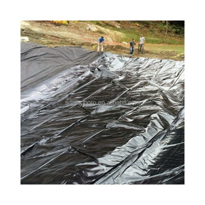 Géomembrane en plastique PE-HD <span class=keywords><strong>Prix</strong></span> de l'eau Géomembrane de revêtement d'étang PE-HD renforcée de barrage de <span class=keywords><strong>piscine</strong></span> Géomembrane en rouleau PE-HD - Product Image 2