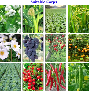 <span class=keywords><strong>Idrossido</strong></span> di Rame 77% WP Prezzo di Fabbrica Fungicidi per Colture Contro Vari Funghi e Batteri Alta Qualità Ampio Spettro - Product Image 3