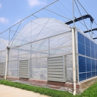 Serre en film multi-spans reliés, adaptée à plusieurs applications de plantation