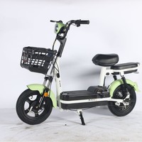 Vélo Électrique Little Prince Phantom à Vitesse Unique avec Moteur Arrière en Acier pour Adultes, Vitesse 35km/h, Promotion Export en Stock
