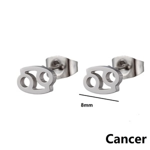 <span class=keywords><strong>Horoscope</strong></span> 12 boucles d'oreilles zodiaque pour femmes plaqué or petites boucles d'oreilles en acier inoxydable boucles d'oreilles géométriques bijoux cadeau - Product Image 5