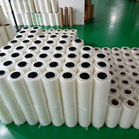 Roll Film DTF Matte PET Transfer Hot Cold Peel 30cm 60cm 80cm 120cm 13inch 24inch untuk Cetak Transfer Panas Kaos Tekstil