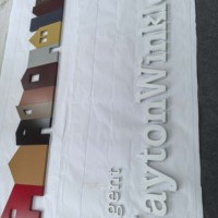 Lettres Combinées en Acier Inoxydable 304 Peintes sur Mesure en 12 Couleurs, Signalétique Intérieure de Haute Qualité, Fabrication Directe, Écologique et Installation Facile