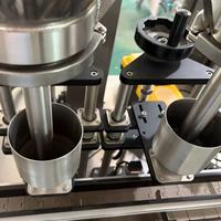 Machine de remplissage, de bouchage et d'étiquetage entièrement automatique à servo-linéaire pour jus de pastèque en mini-bouteilles, équipement d'emballage intégré