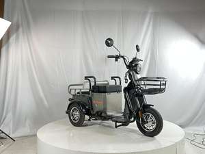 Vivode elettrico 3 ruote moto all'ingrosso di sicurezza triciclo elettrico 800W 1000W tre ruote moto - Product Image 3